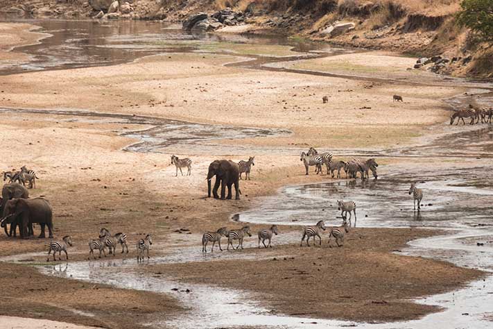 3-Day Tarangire & Ngorongoro